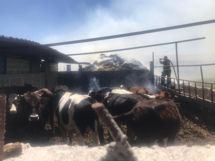 Aksaray’da Saman Yangını Korkuttu