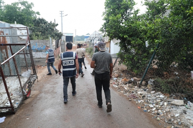 Narkotik Suçlar Ve Göçmen Kaçakçılığı Uygulaması