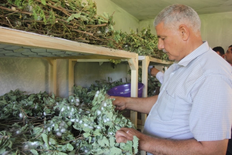 Evinin Boş Odası 42 Günde 3,500 Tl Kazandırd