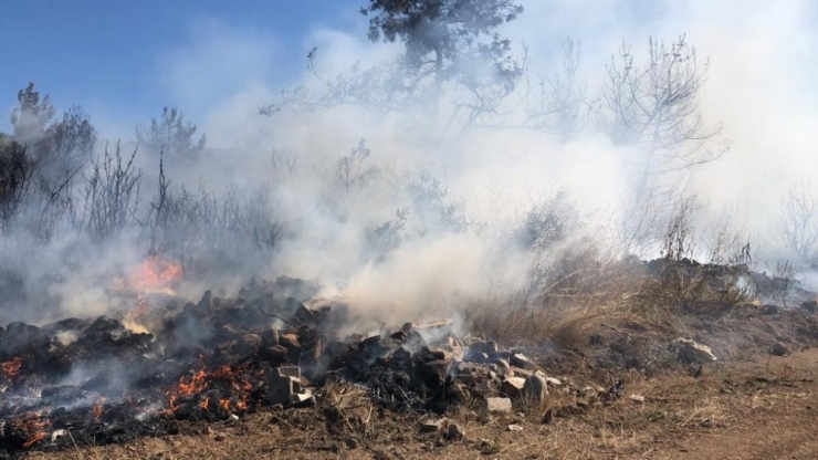 Bursa’da Orman Yangını