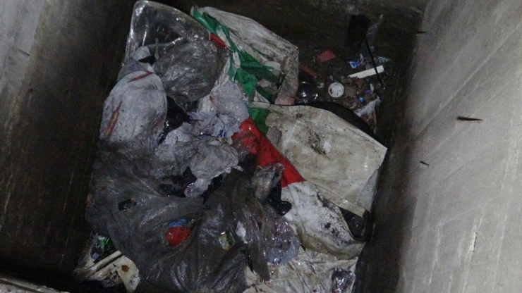 Çekirdek Keyfi Faciayla Bitti