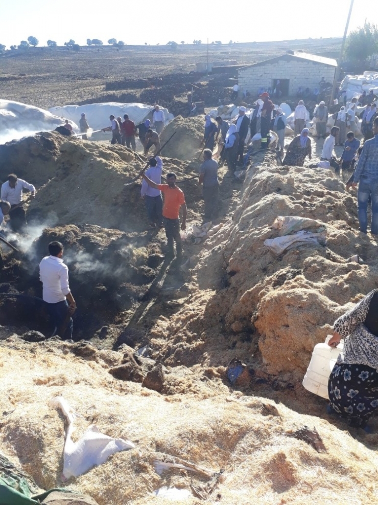 Diyarbakır’da Tonlarca Saman Kül Oldu