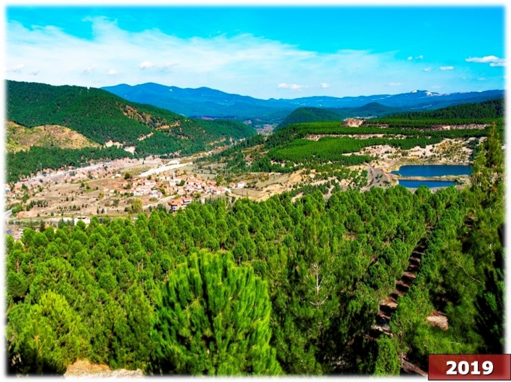 Emet’te 258 Bin 175 Fidan Toprakla Buluştu