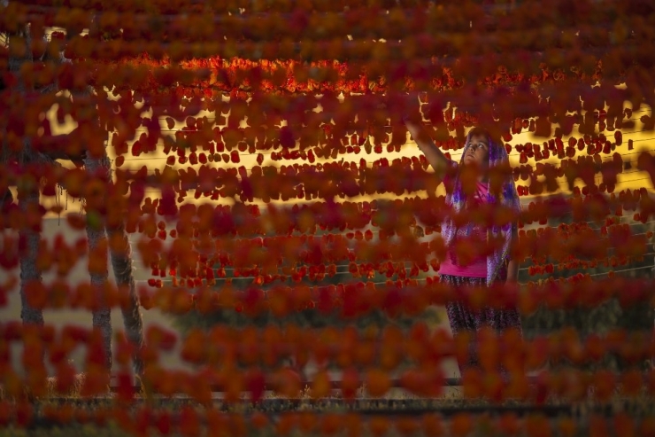 Gaziantep Kurutmalığı Dünya Mutfaklarında