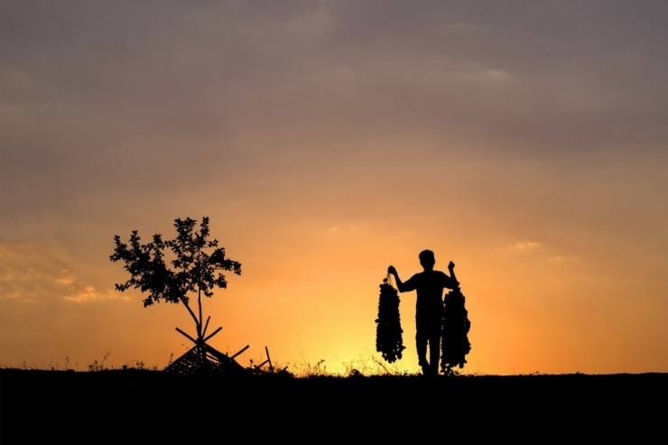 Gaziantep Kurutmalığı Dünya Mutfaklarında