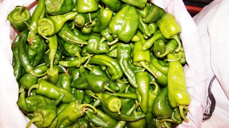 Yerli Biberin Tadı Yıllardır Değişmedi