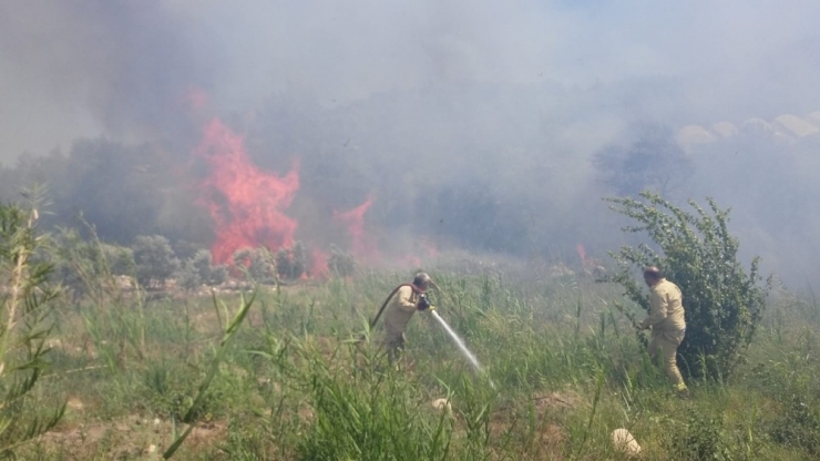 Silifke’de Orman Yangını Yüzünden Bazı Evler Boşaltıldı, Yollar Trafiğe Kapatıldı