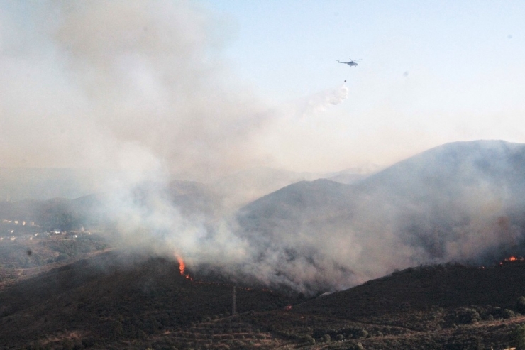 Bodrum’da Korkutan Yangın