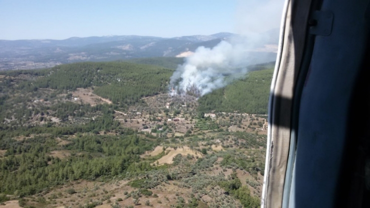 Milas’ta Orman Yangını