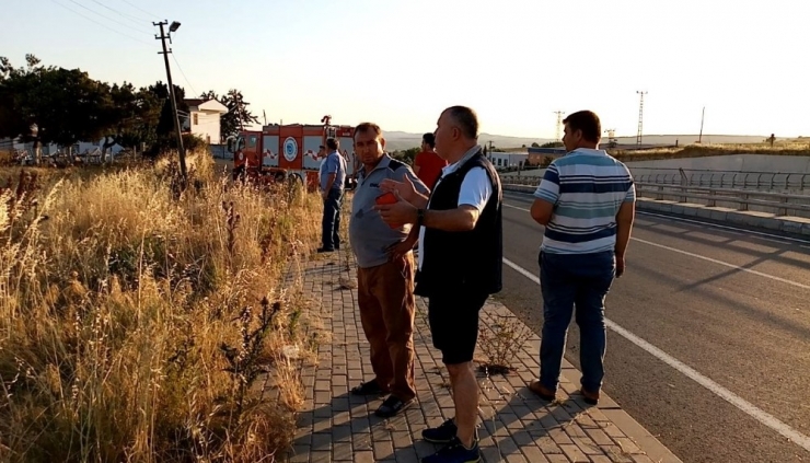 Freni Patlayan Kamyonu Telefon Kabloları Kurtardı