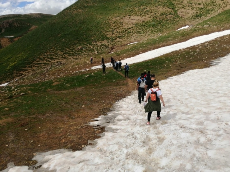 Anne Ve Yavru Ayılar İle Şamualar Görüntülendi