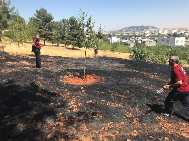 Adıyaman’da Orman Yangını