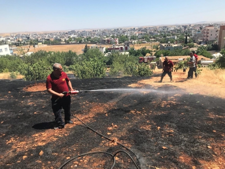 Adıyaman’da Orman Yangını