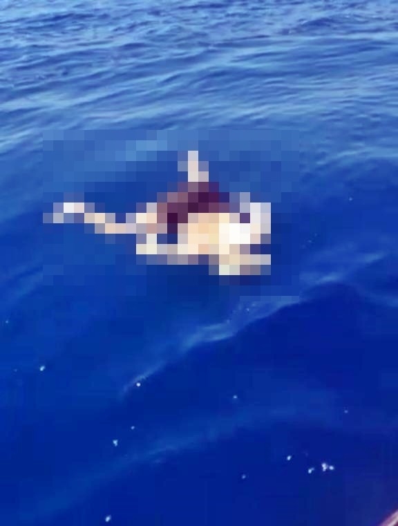 Üzerinde Sadece Şort Ve Spor Ayakkabı Olan Erkek Cesedi Bulundu