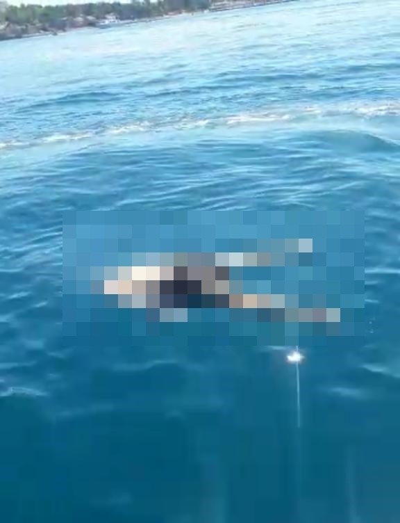 Üzerinde Sadece Şort Ve Spor Ayakkabı Olan Erkek Cesedi Bulundu