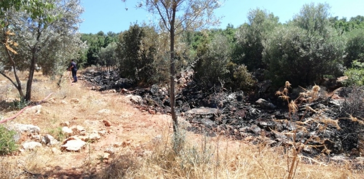 Kaş’ta Makilik Alanda Yangın