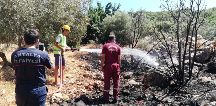 Kaş’ta Makilik Alanda Yangın