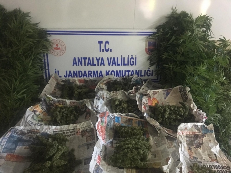 Antalya’da Jandarmadan Uyuşturucu Operasyonu