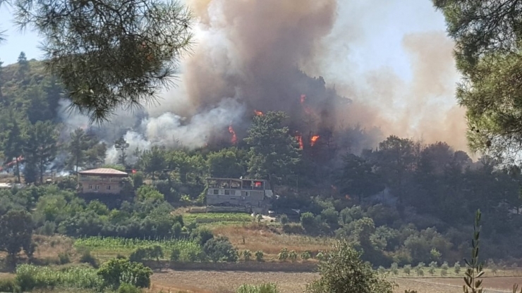 Manavgat’ta Orman Yangını (1)