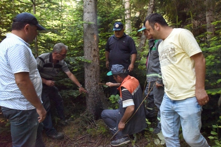 Dumansız Yangınla Biyoteknik Mücadele