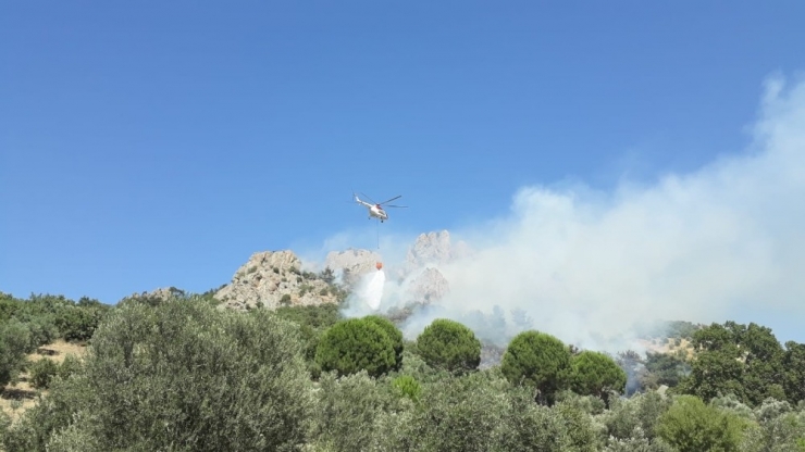Gömeç’te Çıkan Orman Yangınında 1 Hektar Alan Zarar Gördü