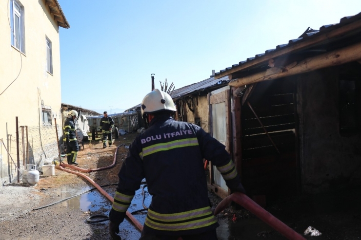 Bolu’da, Hindi Kümesinde Yangın