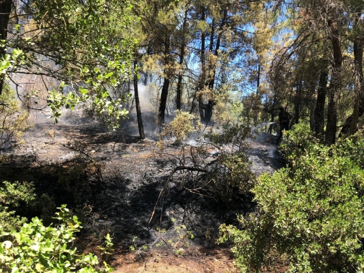 Buldan’da 1 Hektar Alan Kül Oldu