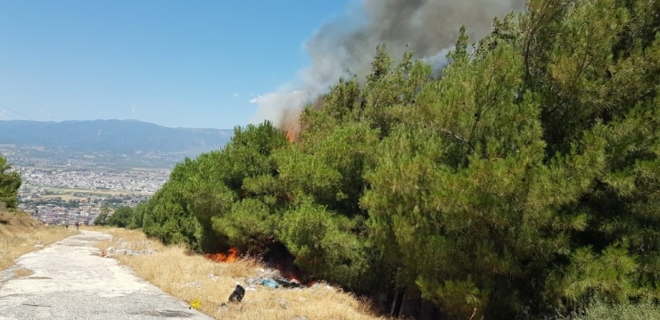 Ormana Atılan Çöpler Yangına Neden Oldu