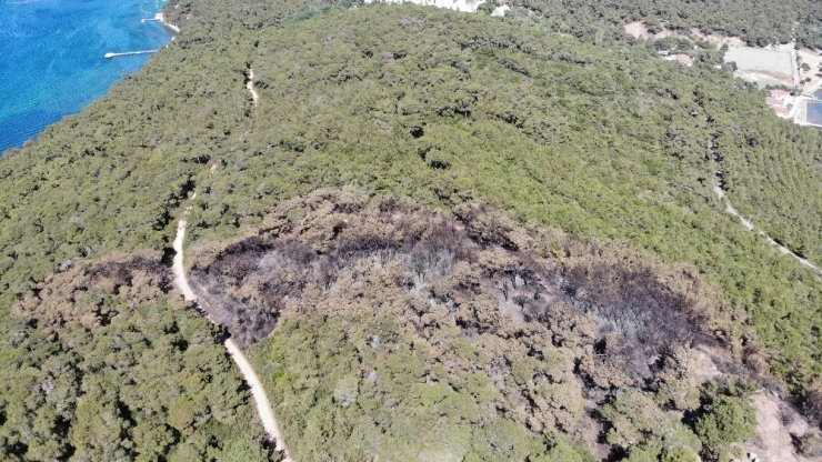 Heybeliada’da Ormanda Çıkan Yangının Sebep Olduğu Zarar Havadan Görüntülendi