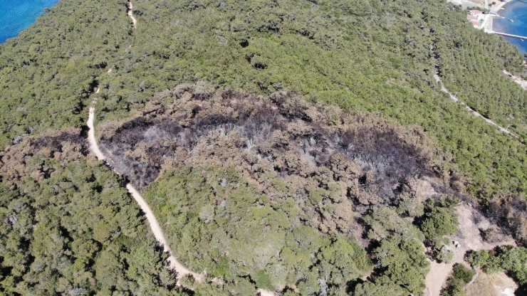 Heybeliada’da Ormanda Çıkan Yangının Sebep Olduğu Zarar Havadan Görüntülendi
