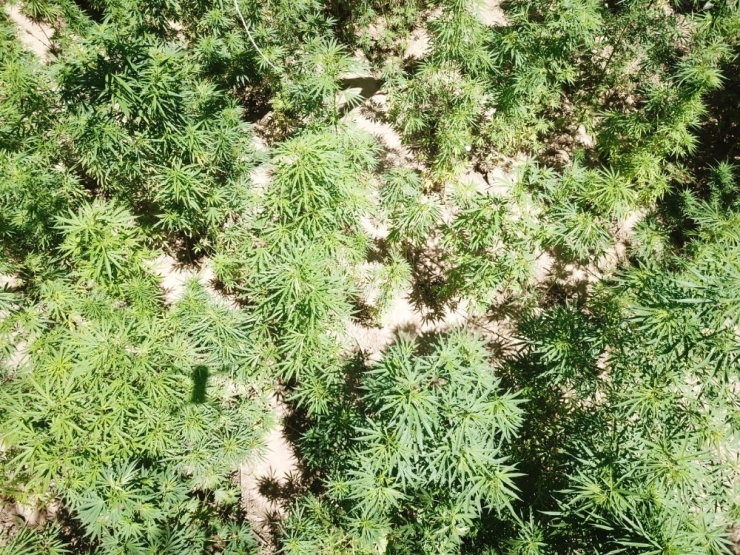 Drone Tespit Etti, Jandarma Operasyon Yaptı