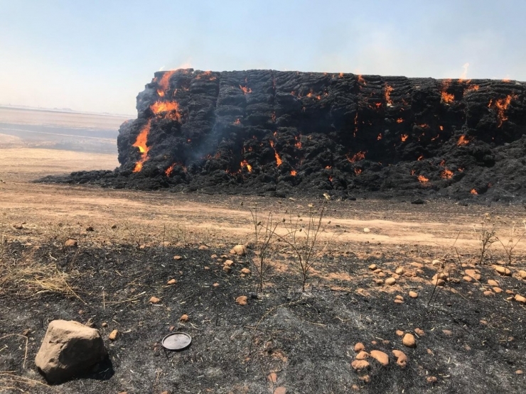 Tarlalarını Yakan Çiftçilere Ödül Ve Ceza Sistemi Önerisi