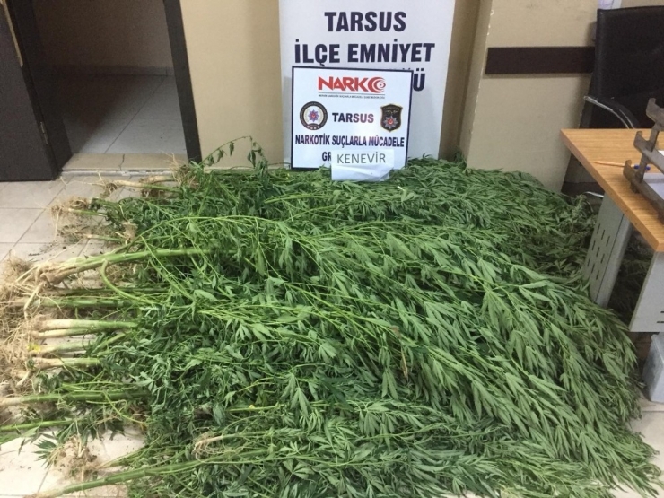 Tarsus’ta 7 Kilo Uyuşturucu Ele Geçirildi