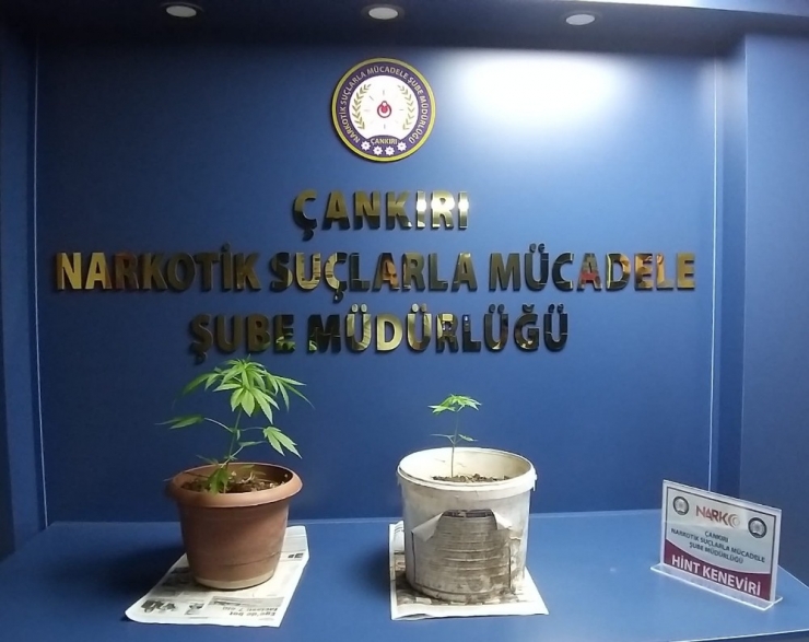 Narkotik Ekipleri Uyuşturucuya Geçit Vermiyor