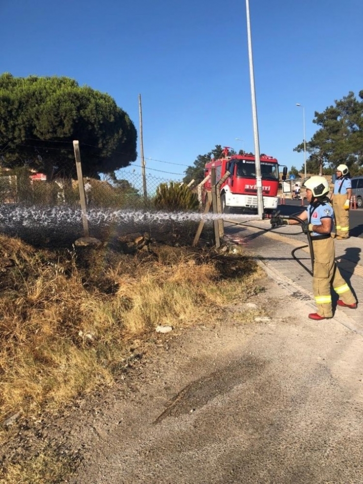 Burhaniye’de Ot Yangını Korkuya Neden Oldu