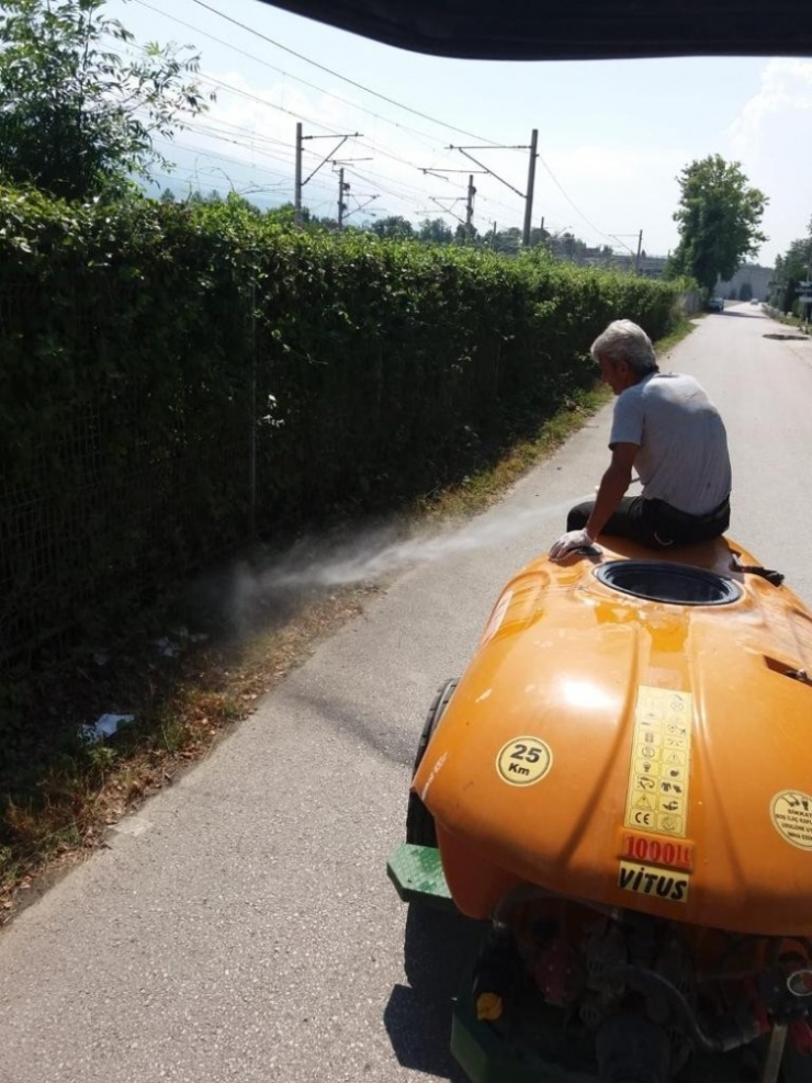 Sapanca’da İlaçlama Çalışmaları Aralıksız Devam Ediyor