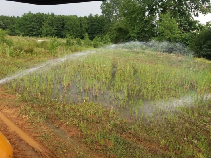 Sapanca’da İlaçlama Çalışmaları Aralıksız Devam Ediyor
