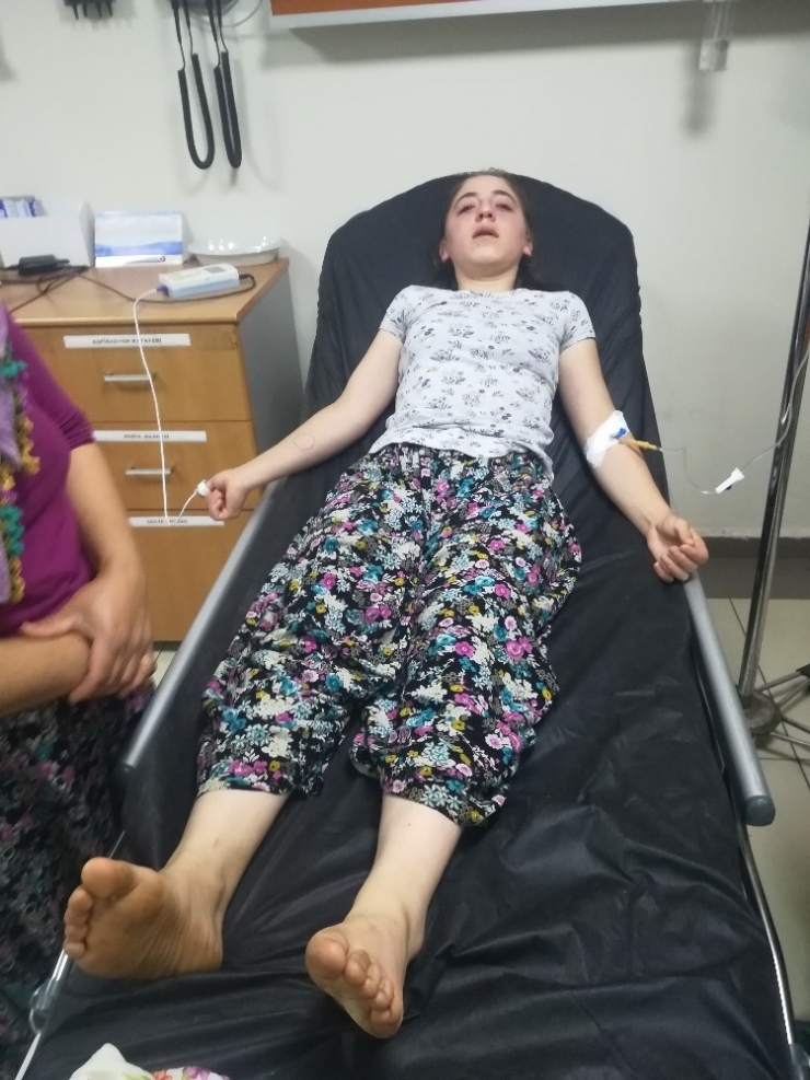 Aydın’da Akrep Alarmı, Akrebin Soktuğu Küçük Kız Yoğun Bakıma Alındı