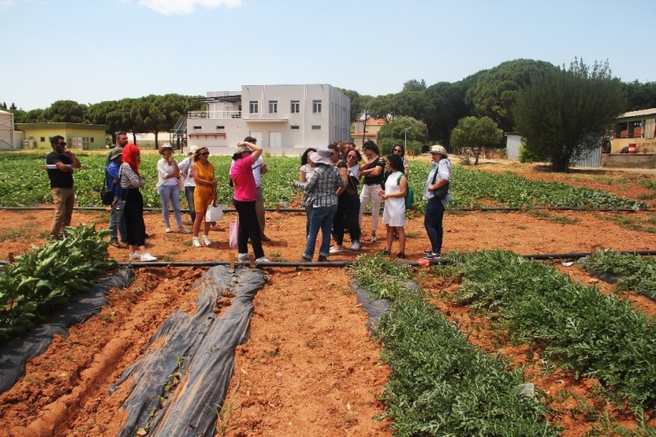 Muğla’nın ‘Gen Bankası’ Projesi Start Aldı