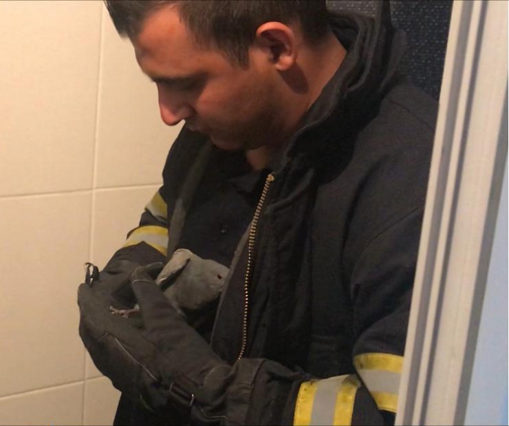 Havalandırma Boşluğuna Düşen Güvercini İtfaiye Kurtardı