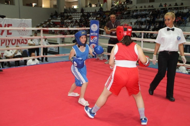 Türkiye Boks Şampiyonası Başladı