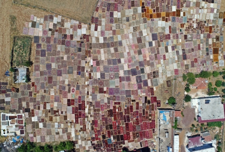 Turlarla Geliyorlar, Tarlada Beğenip Adresine Gönderilmesini İstiyorlar