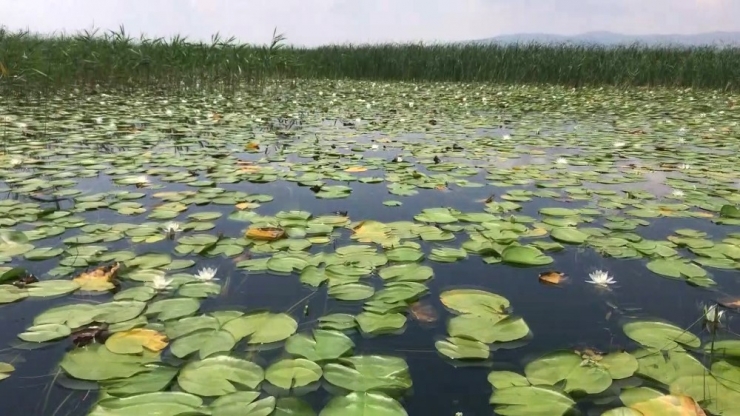 Işıklı Gölü Keşfedilmeyi Bekliyor
