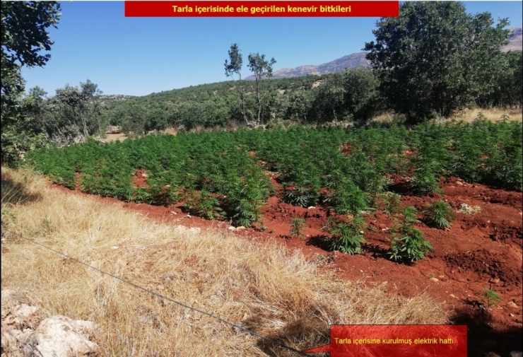 Diyarbakır’da Terörün Finans Kaynağına Büyük Darbe