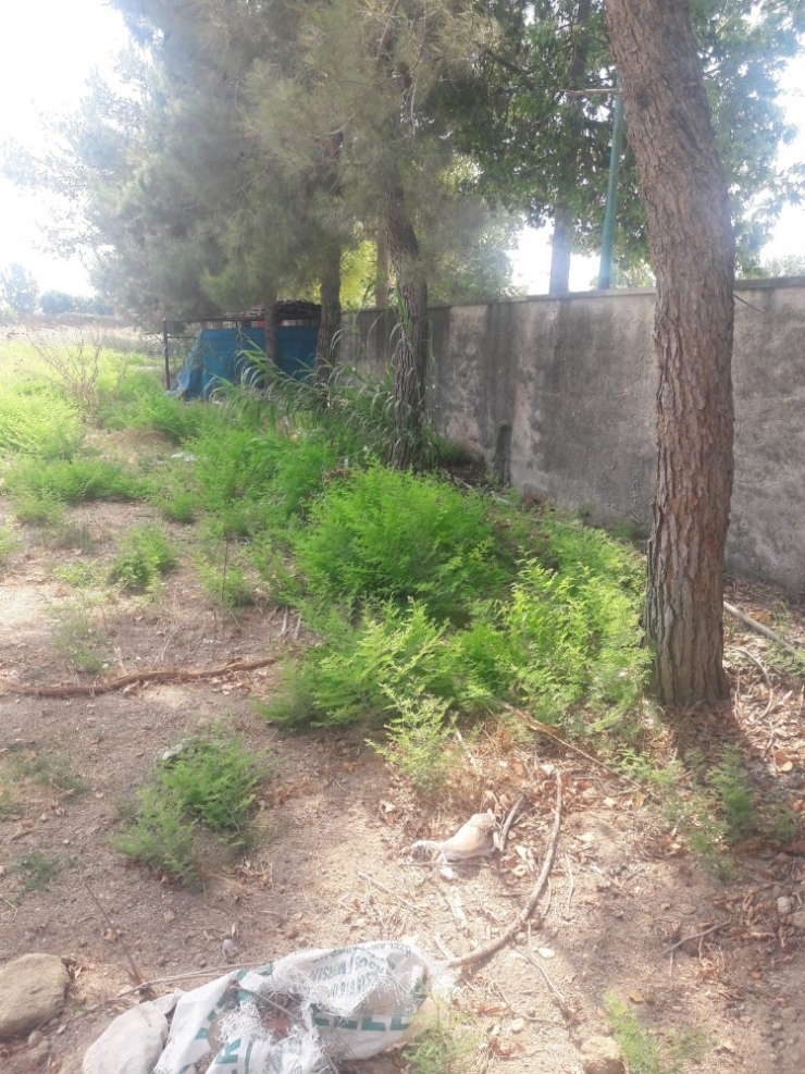 Hırsızlar Onlarca Köpeği Susuz Bıraktılar