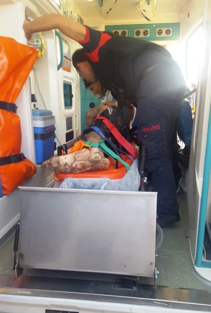 Fatsa’da Bir Kişi Boğulma Tehlikesi Geçirdi