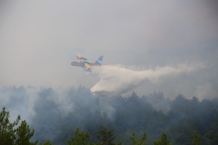 Soğukoluk Yaylası’nın Eski Haline Gelmesi 50 Yıl Sürecek