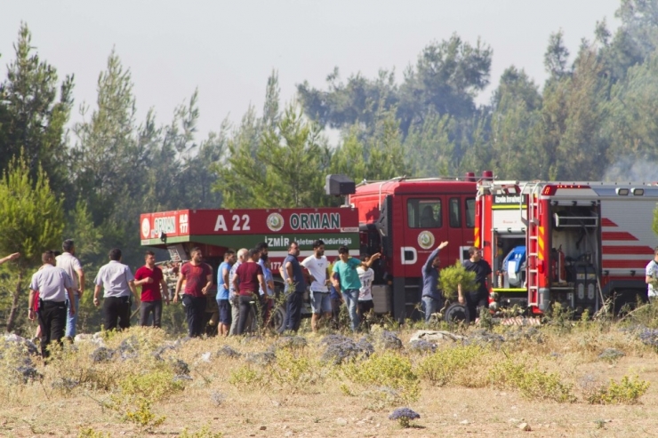 Esnaf, İtfaiye Ve Orman Müdürlüğü Ekiplerinden Yangın Seferberliği