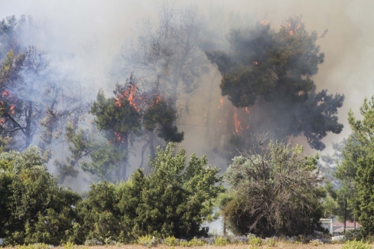 Esnaf, İtfaiye Ve Orman Müdürlüğü Ekiplerinden Yangın Seferberliği