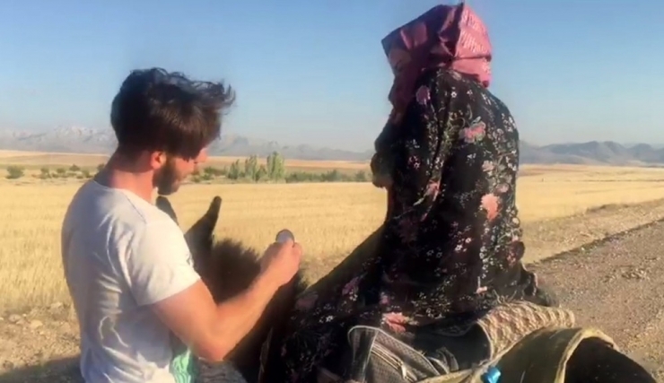 Eşek Üzerinde Evlilik Teklifi